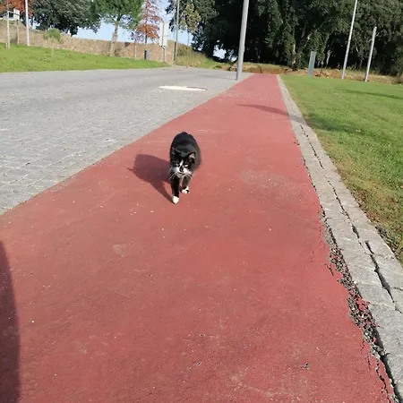 Dom wakacyjny Refugio Vale Da Pipa *