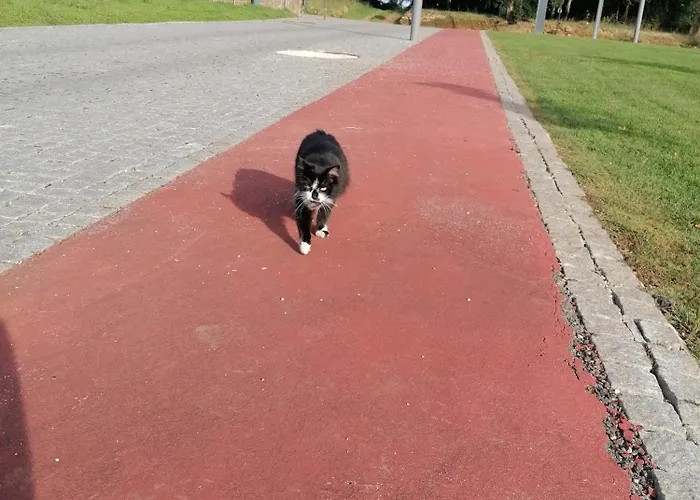 Ferienhaus Refugio Vale Da Pipa *